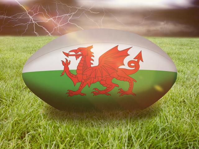 Keep up to date with the Rugby World Cup Here